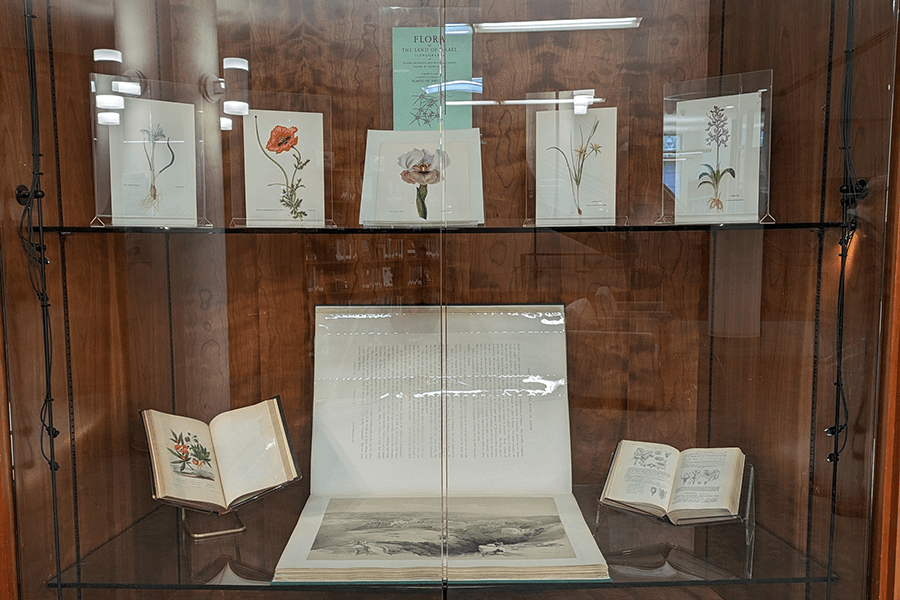 photo of some items in the Flora, Fauna and Mysteriana exhibit, flowers are the main feature in this part of the exhibit