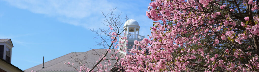 Cherry Blossoms on PTSEM campus