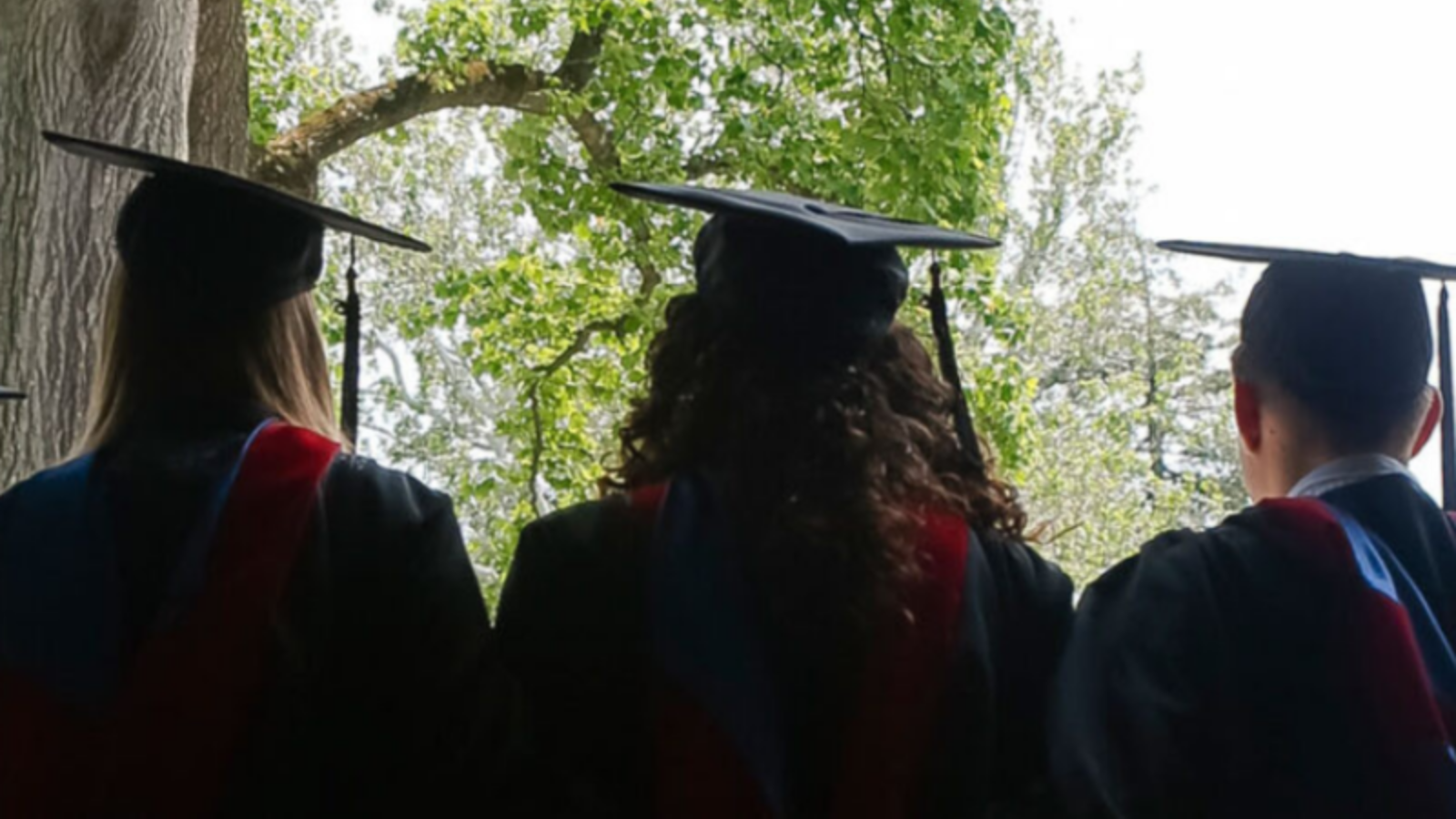 Students on graduation back view