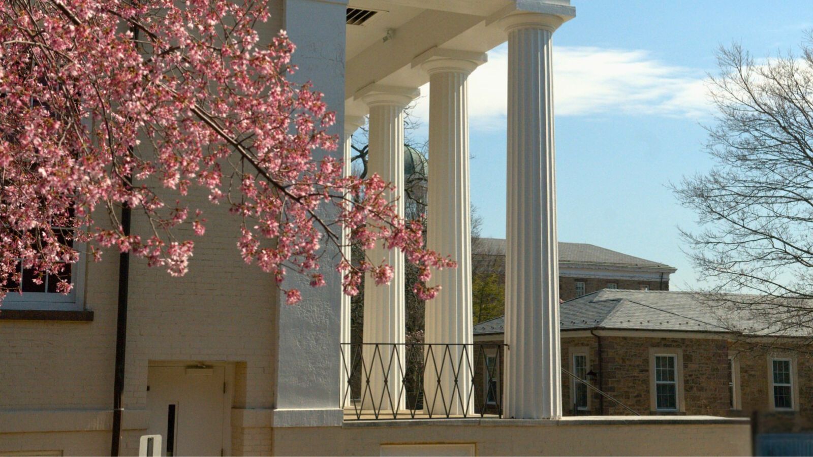 Chapel in the spring with cherry blossom